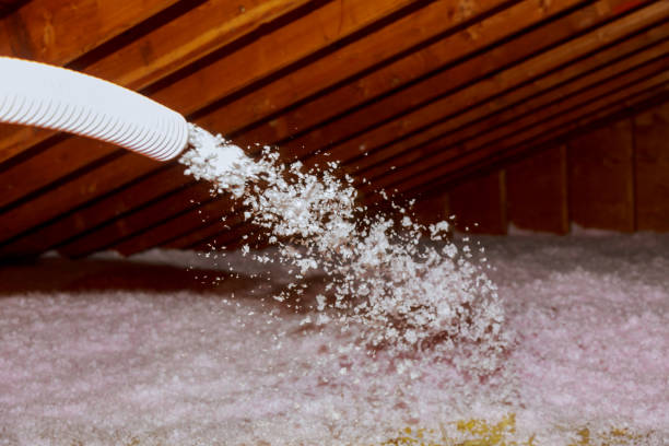 Best Insulation Installation Services in Mertzon, TX