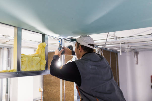 Best Specialty Insulation in Mertzon, TX
