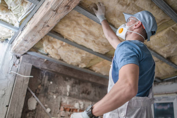 Best Insulation for Specific Applications in Mertzon, TX